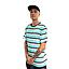 Polera manga corta hombre spitfire stripe to burn celeste